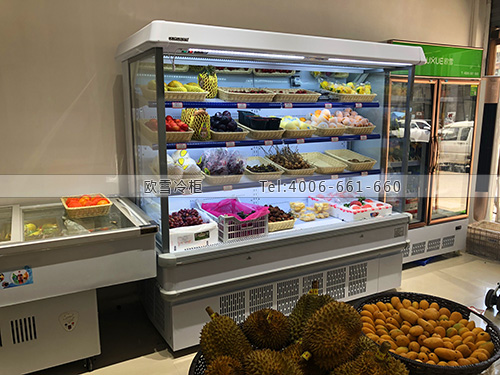 B979江西省撫州市臨川區(qū)鮮果宅配保鮮柜