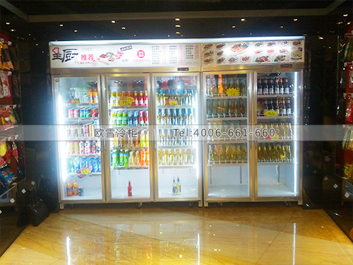 C032湖南岳陽想唱KTV三門冷藏展示柜