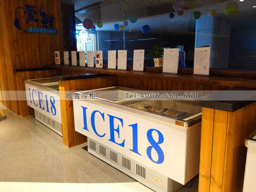 E105四川省成都市高新區(qū)愛鮮ICE18海鮮冷凍柜