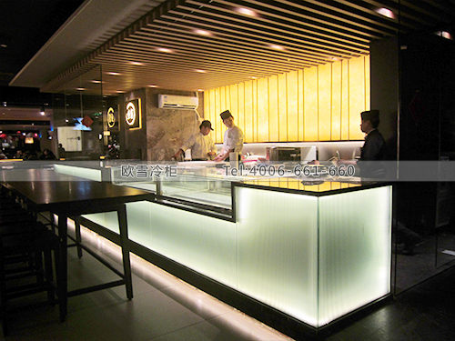 E030上海味千拉面冷柜