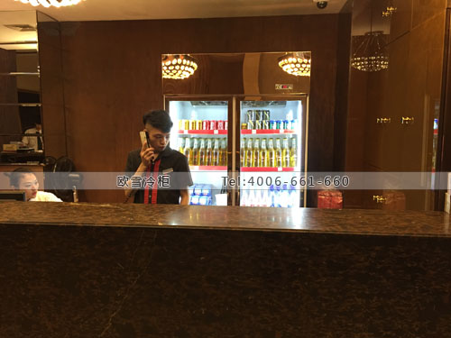 E115湖北省武漢市武昌區(qū)湖錦酒樓展示冰柜