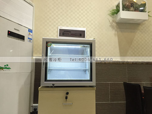 E108廣東省佛山市南海區(qū)筑薈桌上型冷柜