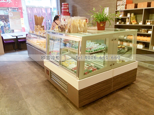 F081湖北武漢巴拿米蛋糕店冷柜冰柜