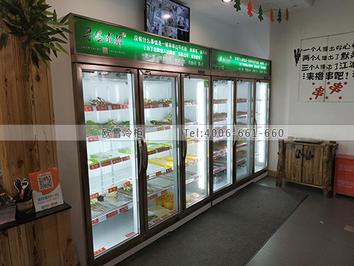 E179北京市海淀區(qū)尋簽成都串串香火鍋保鮮柜