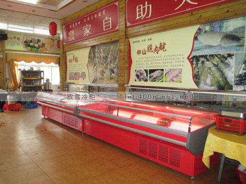 E144廣東省東莞市虎門鎮(zhèn)滿福源四季農(nóng)家菜冷藏展示柜