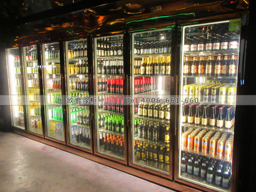 E131四川省成都市武侯區(qū)大悅城烤天下冷藏展示柜