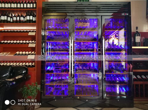E160廣東省深圳市福田區(qū)私房菜紅酒冷藏展示柜