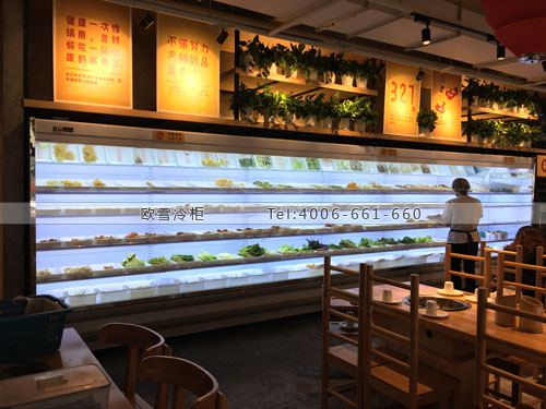 E153四川省成都市成華區(qū)袁記串串香冷藏展示柜