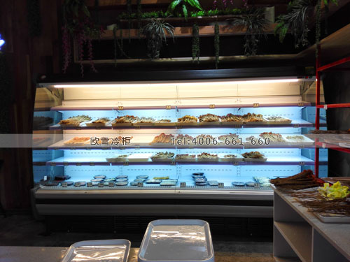 E119四川省成都市高新區(qū)小郡肝串串冷藏展示柜