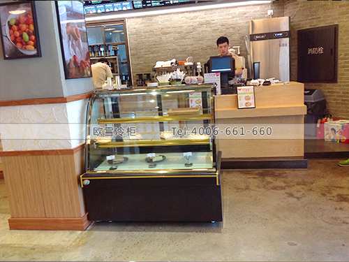 F059上海靜安惠人芳蛋糕冷柜冰柜