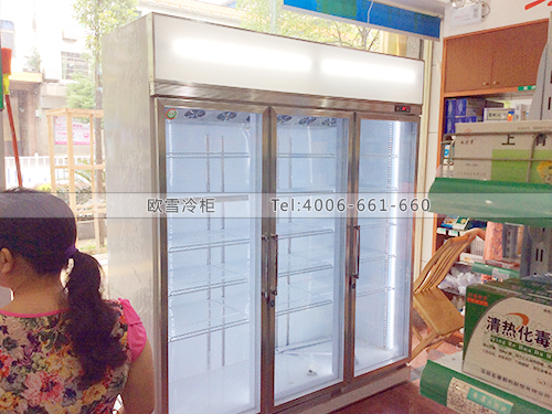 H019湖南郴州某大藥房陰涼柜