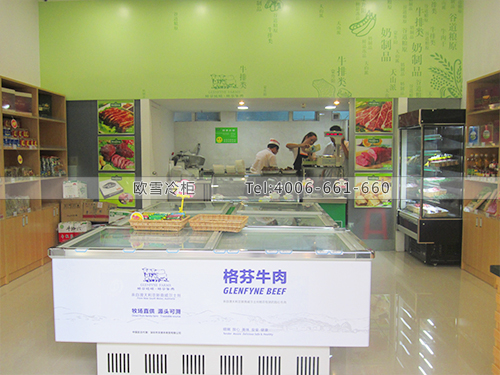 G024深圳南山文德豐食品冷凍展示柜