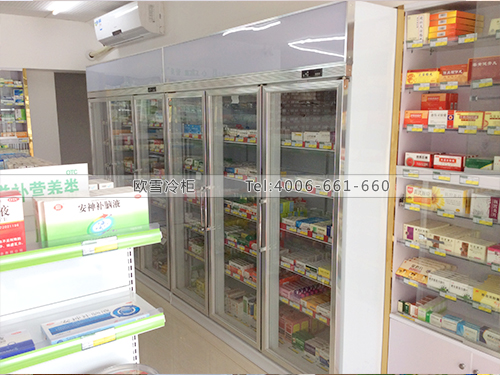 H012湖南長沙某連鎖大藥房冷藏柜