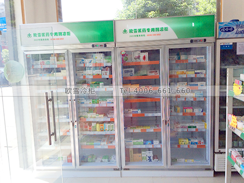 H030湖南長(zhǎng)沙某大藥房冷柜冰柜