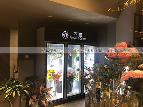 J019江蘇省無錫市花咖鮮花保鮮展示柜