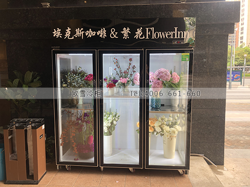 J020廣東省深圳市龍華新區(qū)?？怂?amp;繁花保鮮冷柜