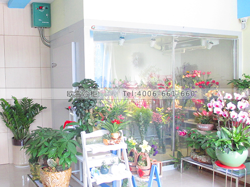 I060東莞維娜斯花藝保鮮庫
