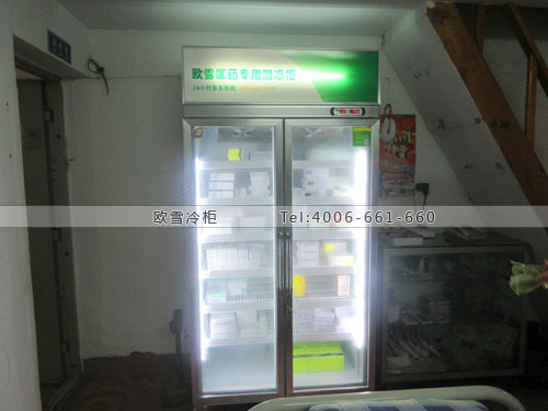 H067四川省自貢市榮縣富康西醫(yī)診所藥品冷藏柜