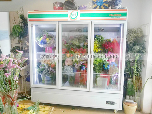 J011佛山南海添彩花社保鮮柜