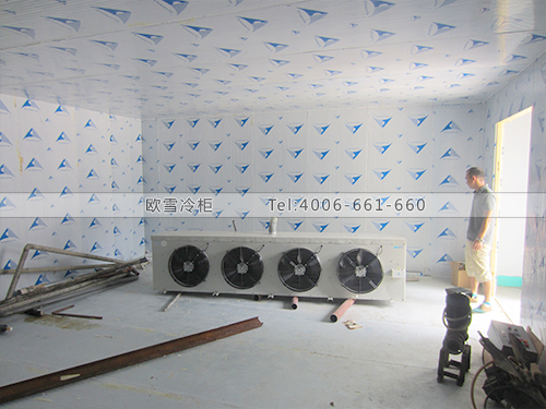 I013深圳龍崗工業(yè)區(qū)食品廠冷藏庫