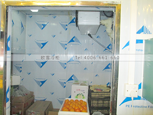 I018東莞南城御果園水果保鮮庫