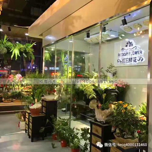 I083河南省新密市紅日鮮花保鮮庫(kù)