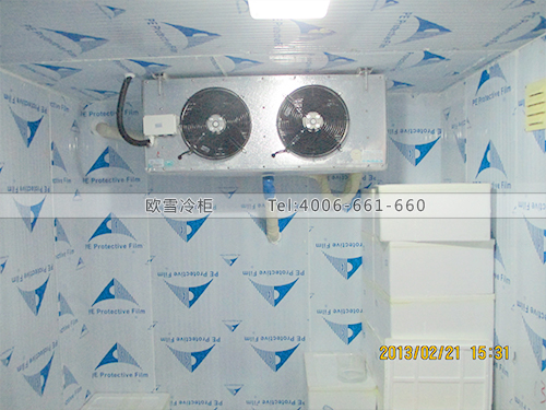 I007深圳寶安龍華民治食品原材料冷凍柜