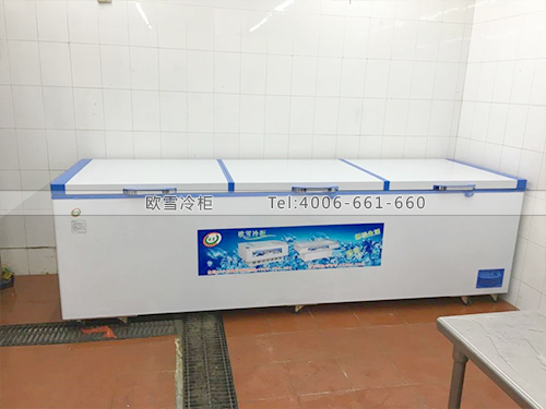 H047廣州天河華南快速干線管理中心臥式冷凍柜