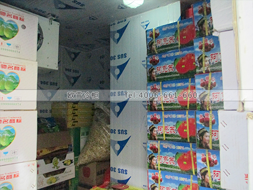 I035東莞萬江鮮果匯水果冷柜冰柜