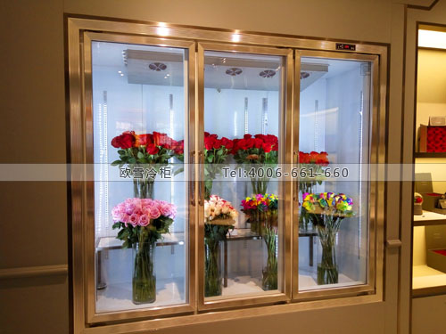 J021湖南省長沙市天心區(qū)roseonly鮮花保鮮柜