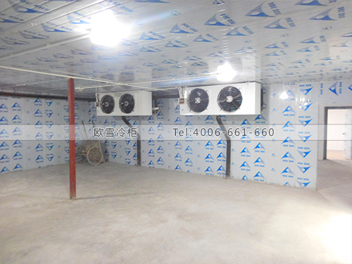 I036深圳福田農批市場小型冷庫