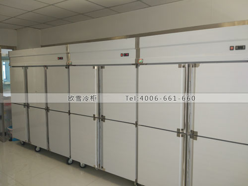 H056河北省廊坊市出入境檢驗檢疫局冷柜冰柜