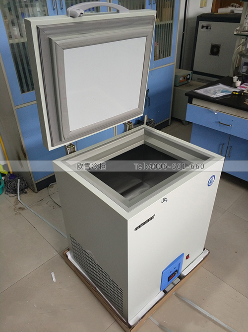 H095江蘇省南京市玄武區(qū)民爆樓超低溫冷凍柜