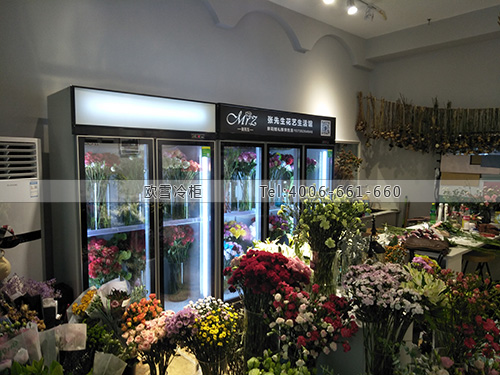 J105重慶市渝北區(qū)張先生花藝生活館鮮花保鮮柜