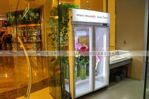 J032廣東省深圳市萬象城roseonly鮮花保鮮柜