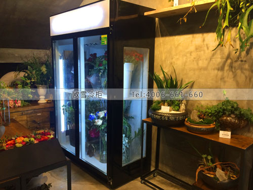 J079廣東省深圳市龍崗區(qū)植己鮮花保鮮展示柜
