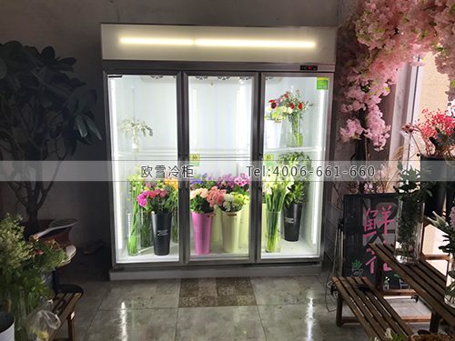 J083河北省滄州市植覺(jué)花藝工作室鮮花保鮮展示柜