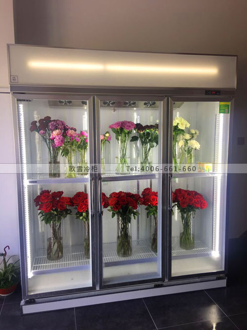 J060江蘇省張家港市楊舍鎮(zhèn)REAL鮮花店保鮮柜