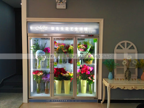 J033河北省廊坊市廣陽區(qū)張先生花藝生活館保鮮柜