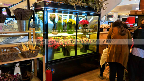 J062浙江省杭州市AROMA'ART香圃鮮花保鮮柜