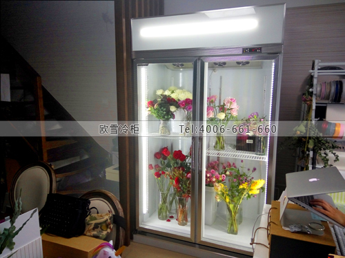 J077江蘇省南京市建鄴區(qū)JIMU花店保鮮展示柜