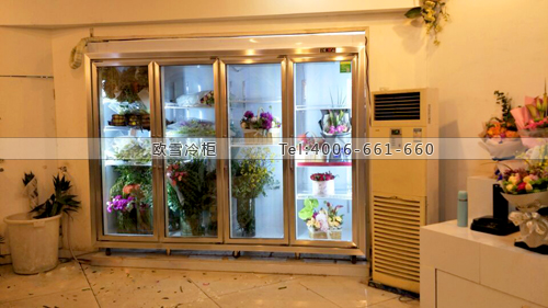 J061浙江省金華市永康市情人島花店保鮮柜