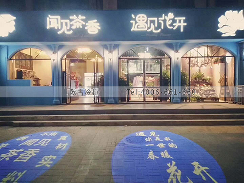 J095安徽省宣城市郎溪縣遇見花開鮮花店保鮮柜