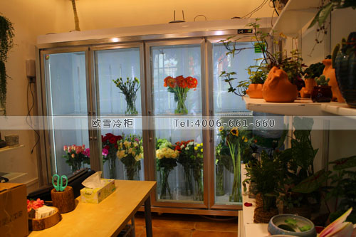 J046廣東省深圳市寶安區(qū)久久炫花藝生活館