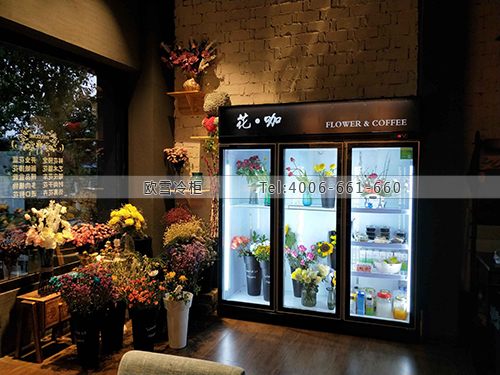 J104湖南省岳陽市平江縣花咖鮮花展示柜