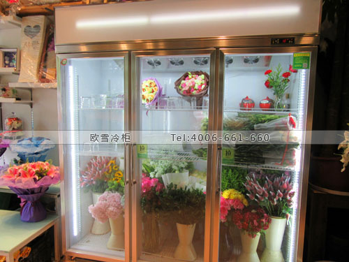 J038江蘇省南京市雨花臺(tái)區(qū)綠創(chuàng)鮮花植物婚慶