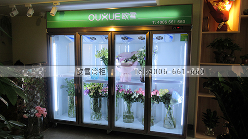 J086廣東省東莞市禾朵花藝四門保鮮展示柜