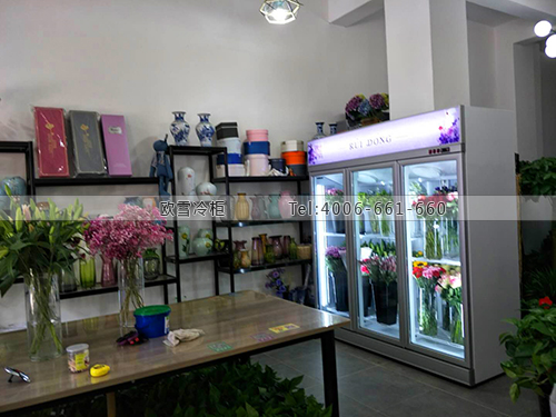 J099浙江省臨安市瑞東花卉保鮮展示柜