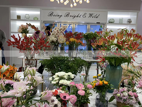 J113浙江省紹興市清野鮮花店保鮮柜