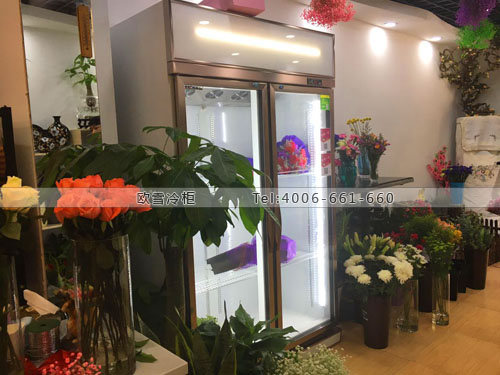 J056江蘇省南京市鼓樓區(qū)美植家花藝館保鮮柜